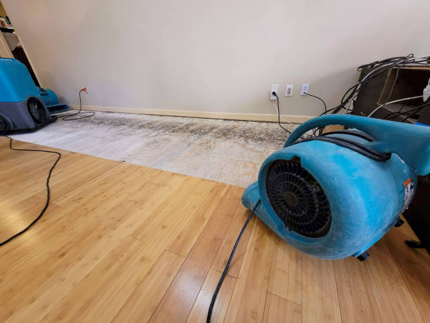 Professional Structural Drying technician working in Denton, NE